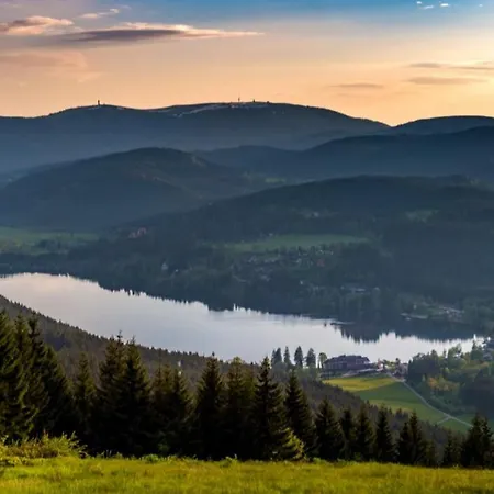 Schwarzwaldmarie * Loeffingen
